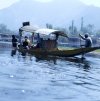 Kashmir Srinigar Dal Lake  a trip on the lake by water taxi (Shakira)