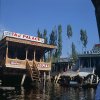 Kashmir Srinigar Dal Lake House boats to rent