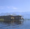 Kashmir Srinigar Dal Lake House boats