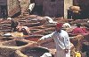 morocco_fes_leather_tannery3_0096_0032_lr