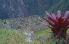 Machu Pichuu City