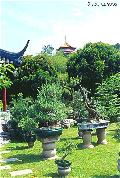 singapore_chinese_garden_bonsai_1999_0189
