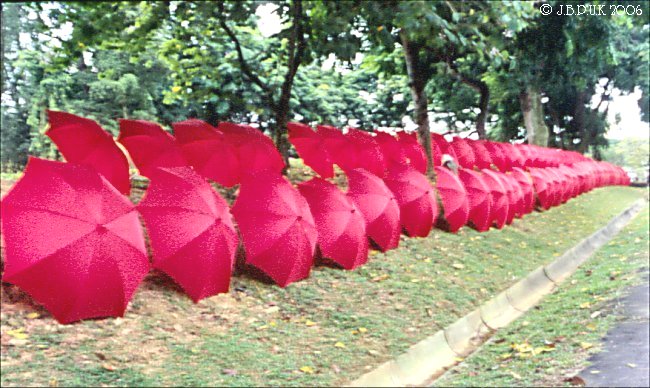 singapore_chinese_garden_umbrellas_1999_0189